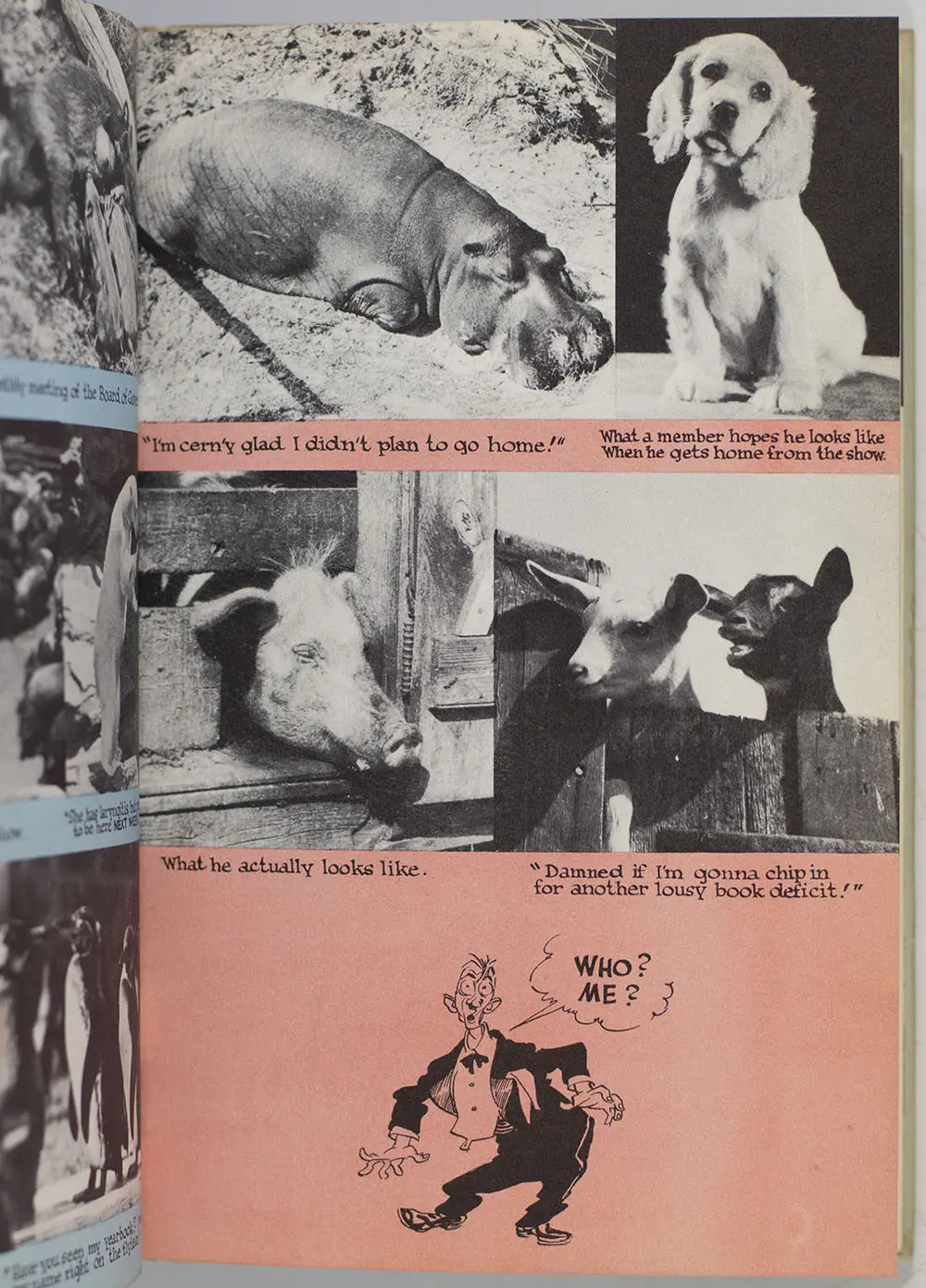 Secret Papers of the Dutch Treat Club.