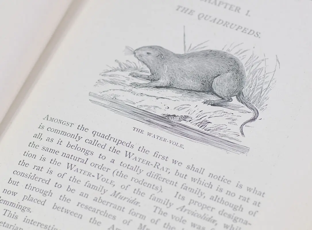 The River-Side Naturalist: Notes of the Various Forms of Life Met With Either In, On, or By The Water, or In Its Immediate Vicinity.
