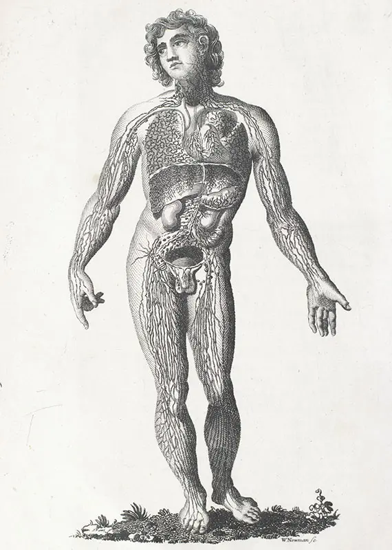The Medical Mirror, or Treatise on the Impregnation of the Human Female, Shewing the Origin of Diseases And the Principles of Death.