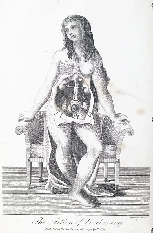 The Medical Mirror, or Treatise on the Impregnation of the Human Female, Shewing the Origin of Diseases And the Principles of Death.