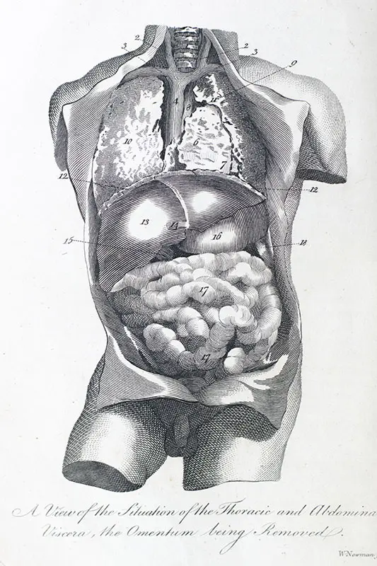 The Medical Mirror, or Treatise on the Impregnation of the Human Female, Shewing the Origin of Diseases And the Principles of Death.