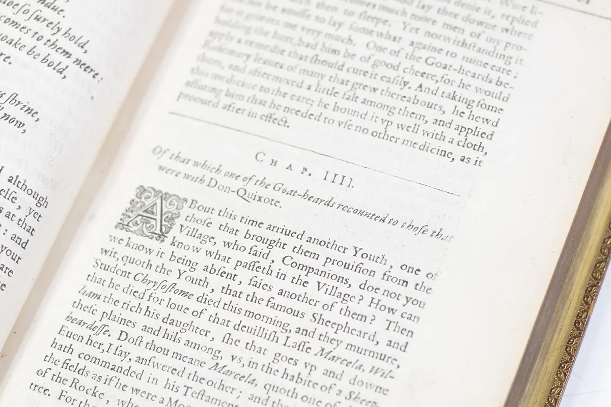 The History of Don-Quixote. The First Parte. The Second Part of the History of the Valorous and Witty Knight-Errant, Don Quixote of the Mancha. Written in Spanish by Michael Cervantes: and now translated into English.