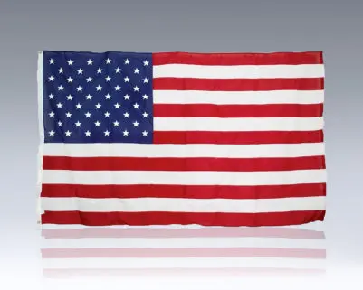 Barack Obama Inauguration Flag.