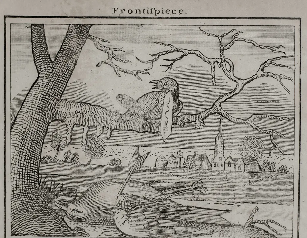 The Tragi-Comic History of the Burial of Cock Robin; with the Lamentation of Jenny Wren.