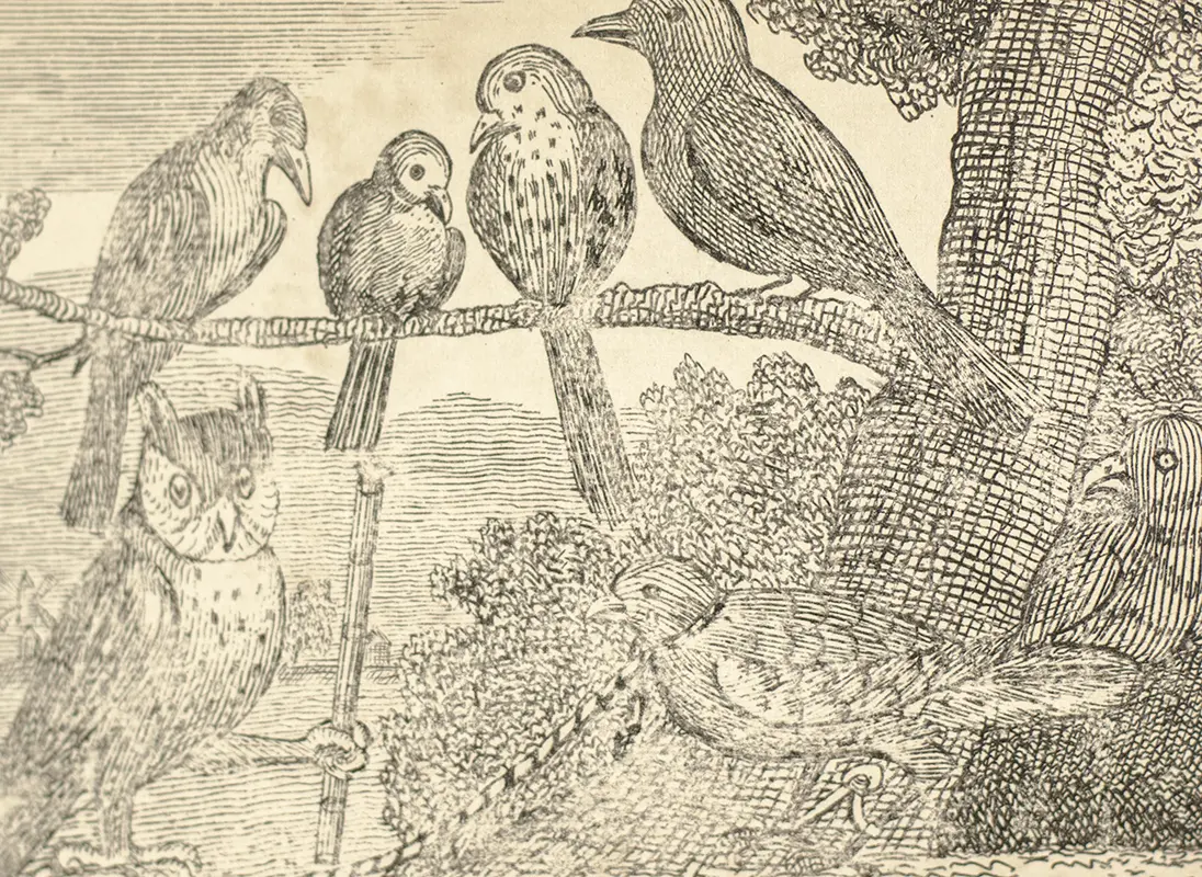 The Tragi-Comic History of the Burial of Cock Robin; with the Lamentation of Jenny Wren.