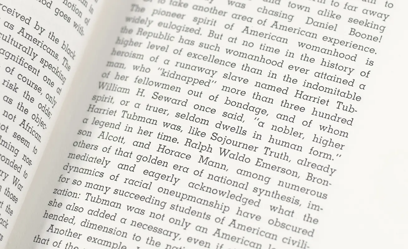 Omni-Americans: New Perspectives on Black Experience and American Culture.