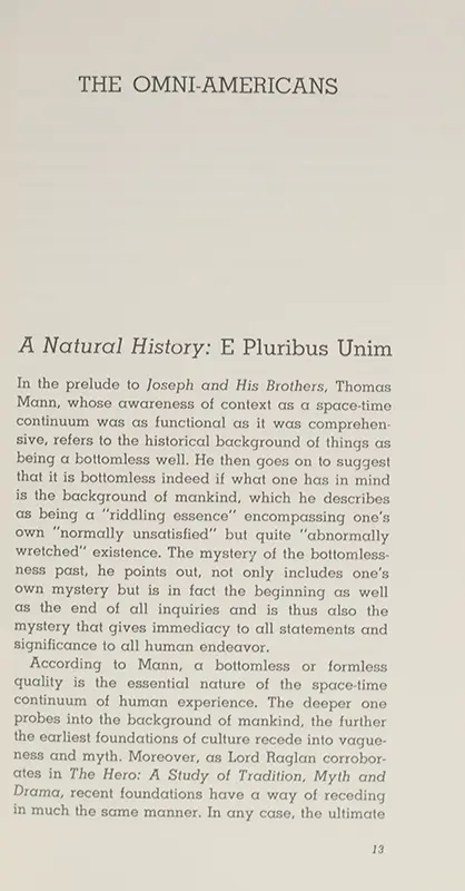 Omni-Americans: New Perspectives on Black Experience and American Culture.