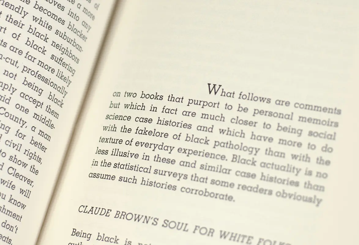 Omni-Americans: New Perspectives on Black Experience and American Culture.