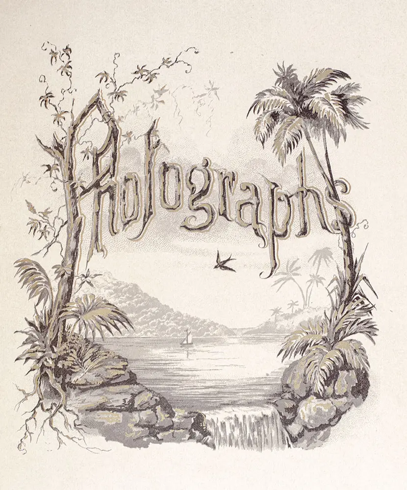Nineteenth Century Carte de Visite Album.