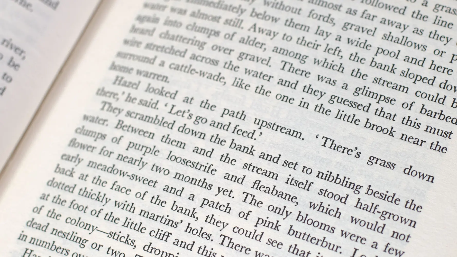 Watership Down.
