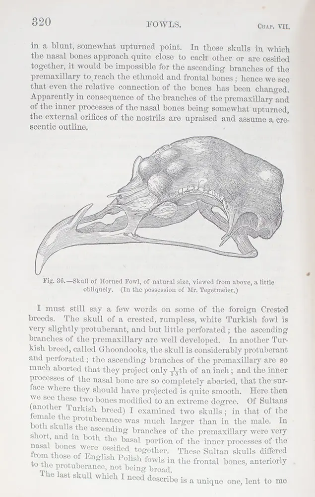 The Variation of Animals and Plants Under Domestication.