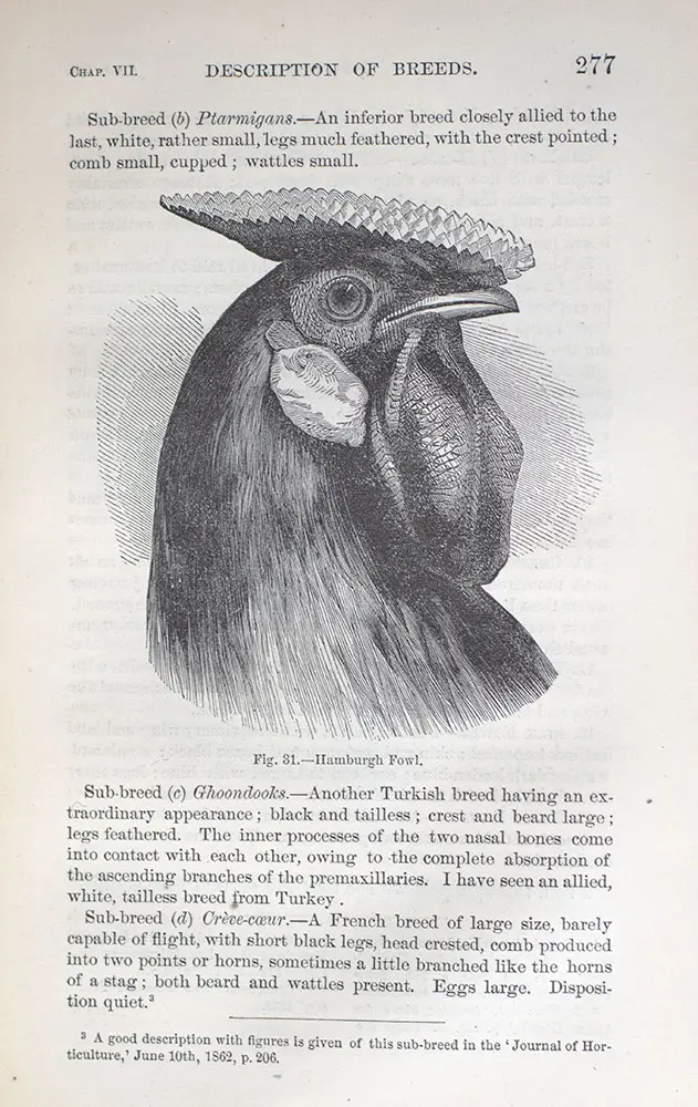 The Variation of Animals and Plants Under Domestication.