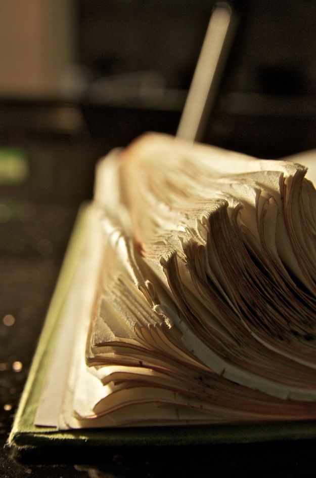 dog eared book pages