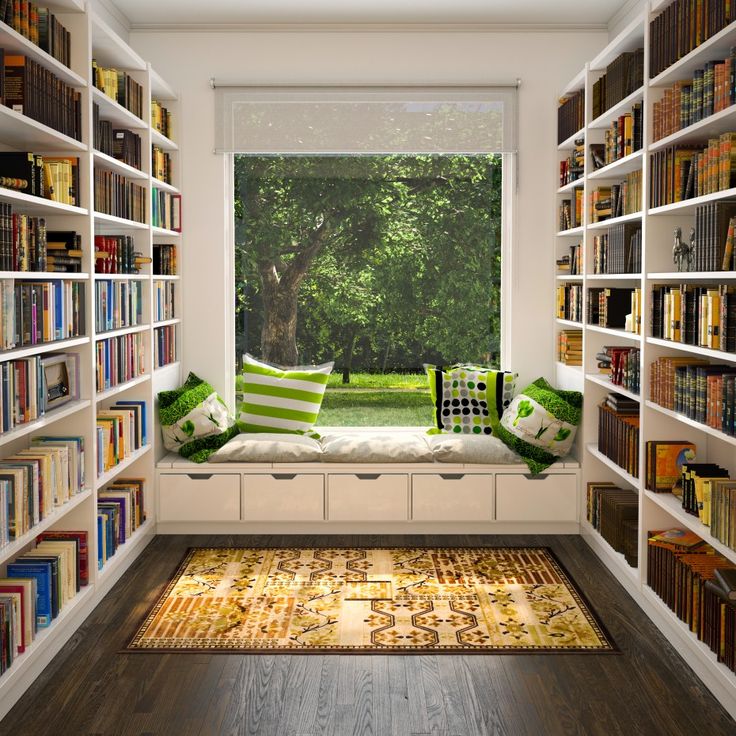library and windows