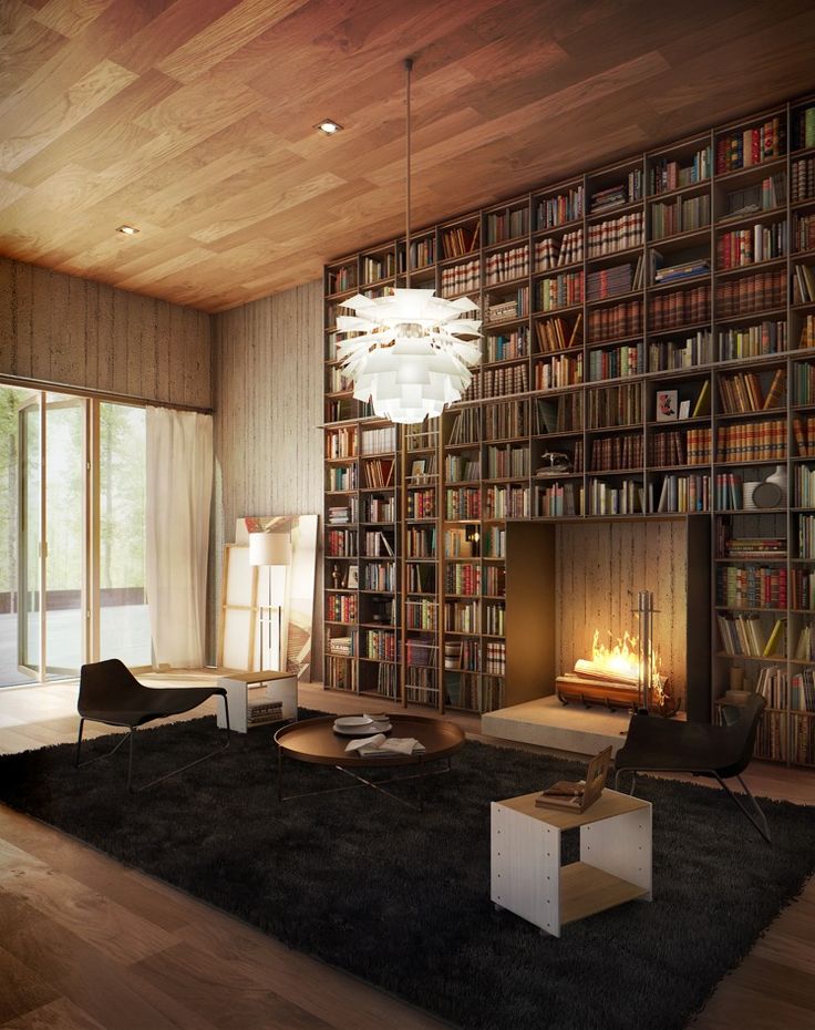 reading by the fire