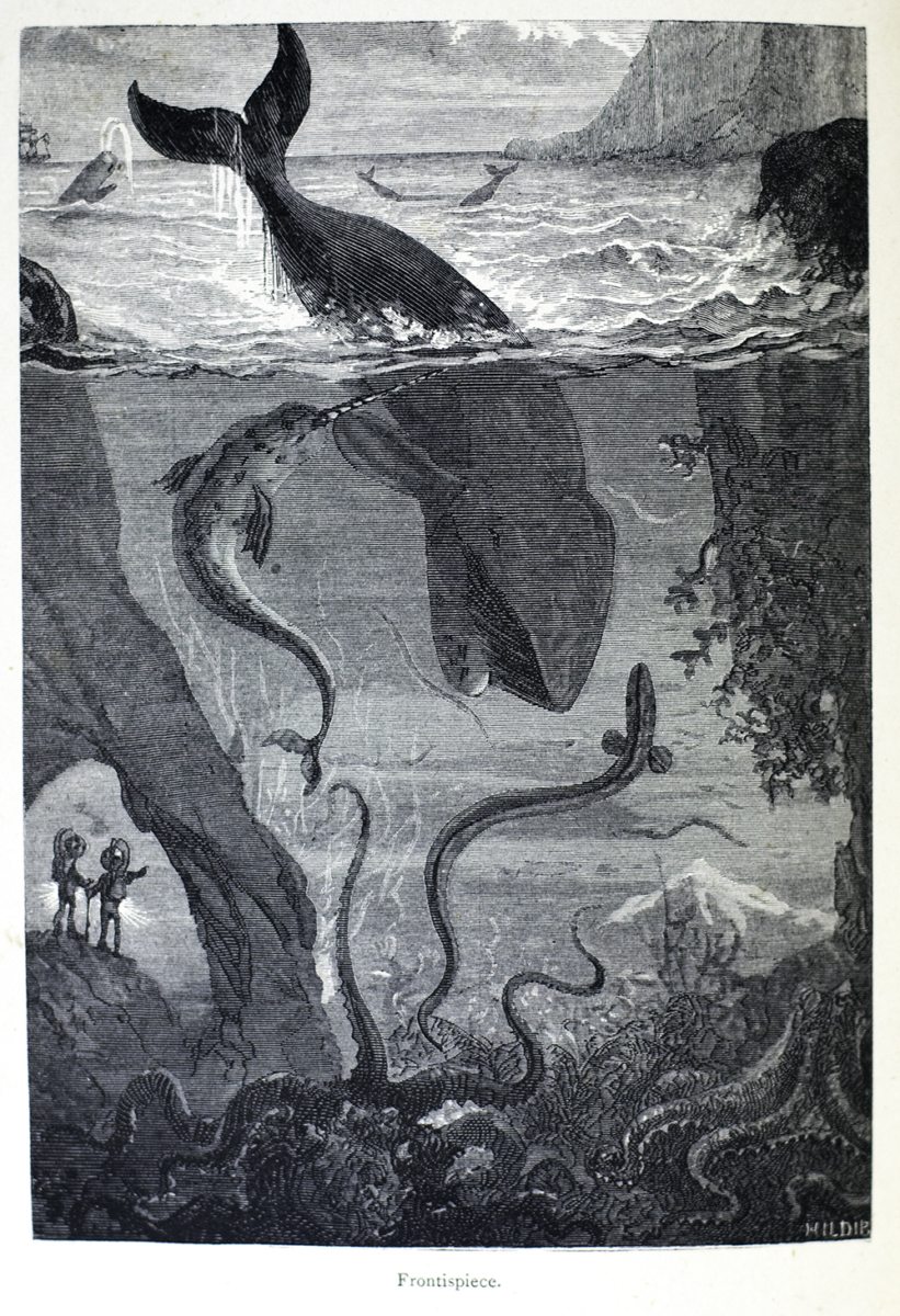 Twenty Thousand Leagues Under the Sea.