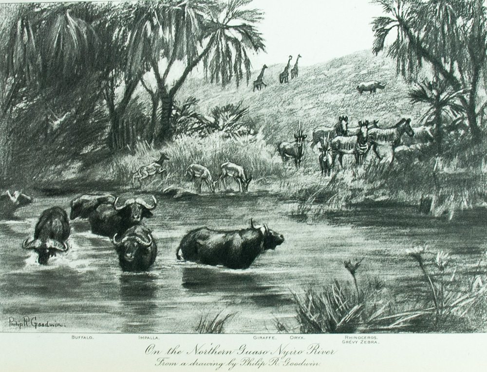 Life-Histories of African Game Animals.