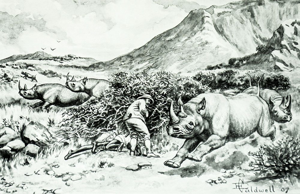 On Safari: Game Hunting in British East Africa With Studies In Bird-Life