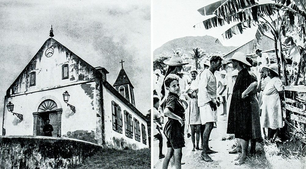 The Traveller's Tree: A Journey Through the Caribbean Islands