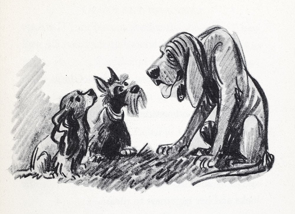 Lady and the Tramp