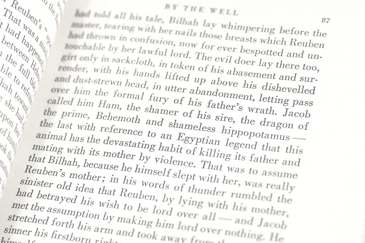 Joseph and His Brothers