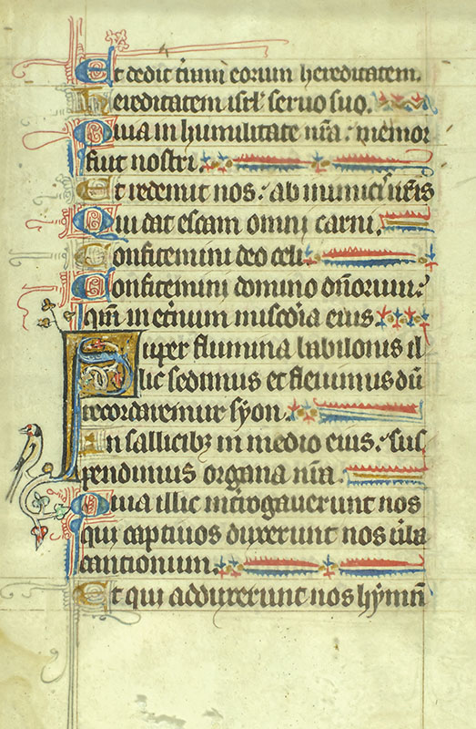 Miniature Book of Hours Illuminated Manuscript Leaf Collection.