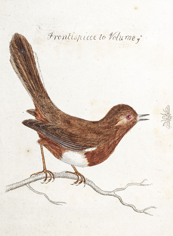 Harmonia Ruralis; or, An Essay towards A Natural History of British Songbirds.