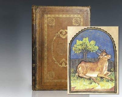 Illuminated Astrological Sign Symbol Painting Collection.
