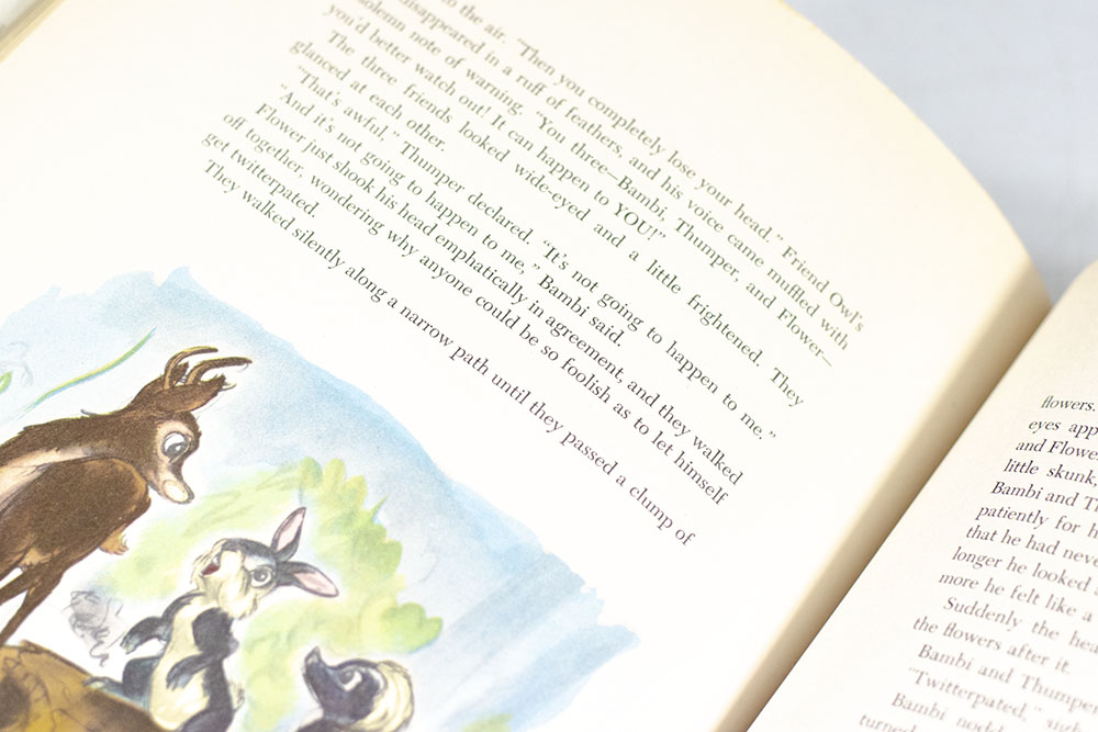 Walt Disney’s Bambi: Adapted from the Novel by Felix Salten.