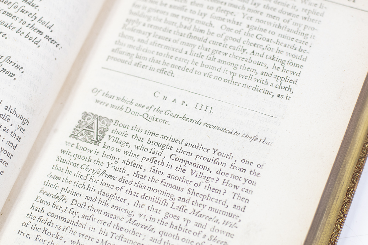 The History of Don-Quixote. The First Parte. The Second Part of the History of the Valorous and Witty Knight-Errant, Don Quixote of the Mancha. Written in Spanish by Michael Cervantes: and now translated into English.