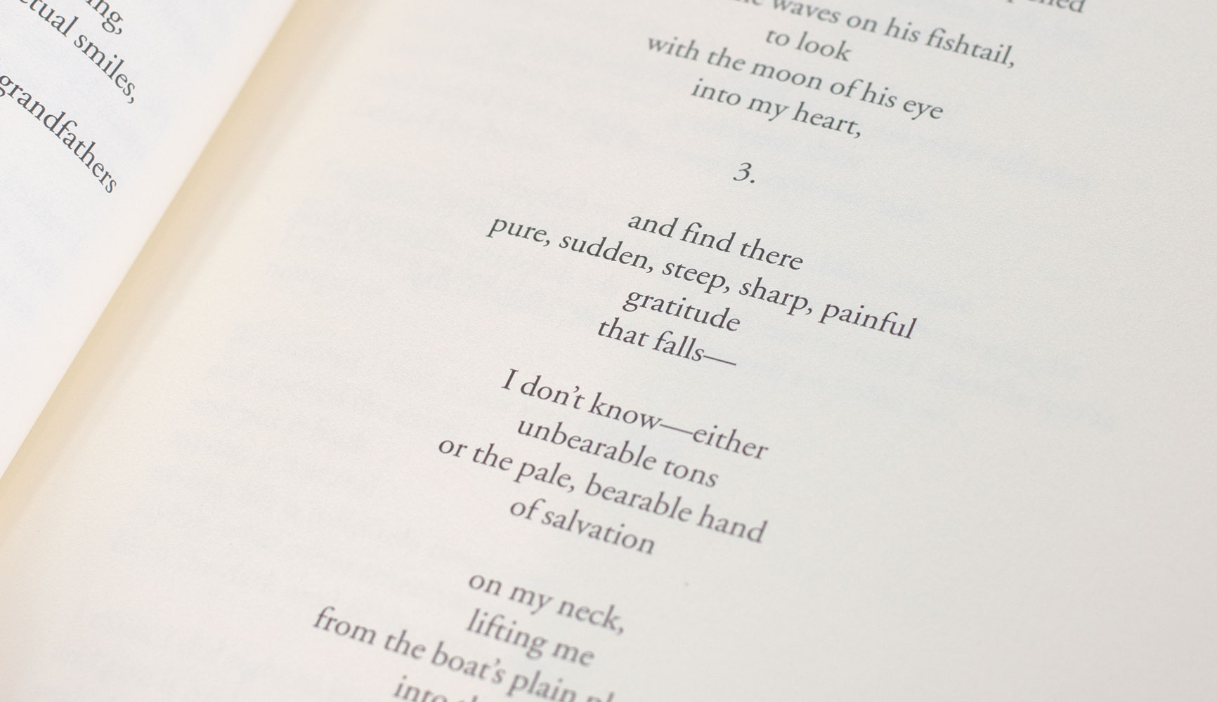 The Truro Bear and Other Adventures: Poems and Essays.