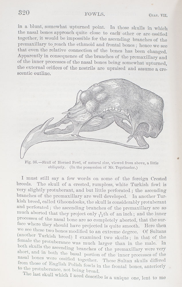 The Variation of Animals and Plants Under Domestication.