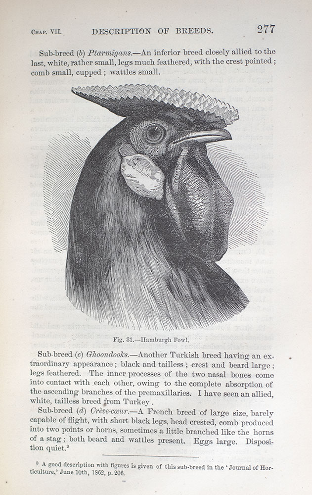The Variation of Animals and Plants Under Domestication.