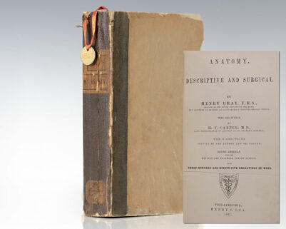 Anatomy, Descriptive and Surgical. [Gray's Anatomy].