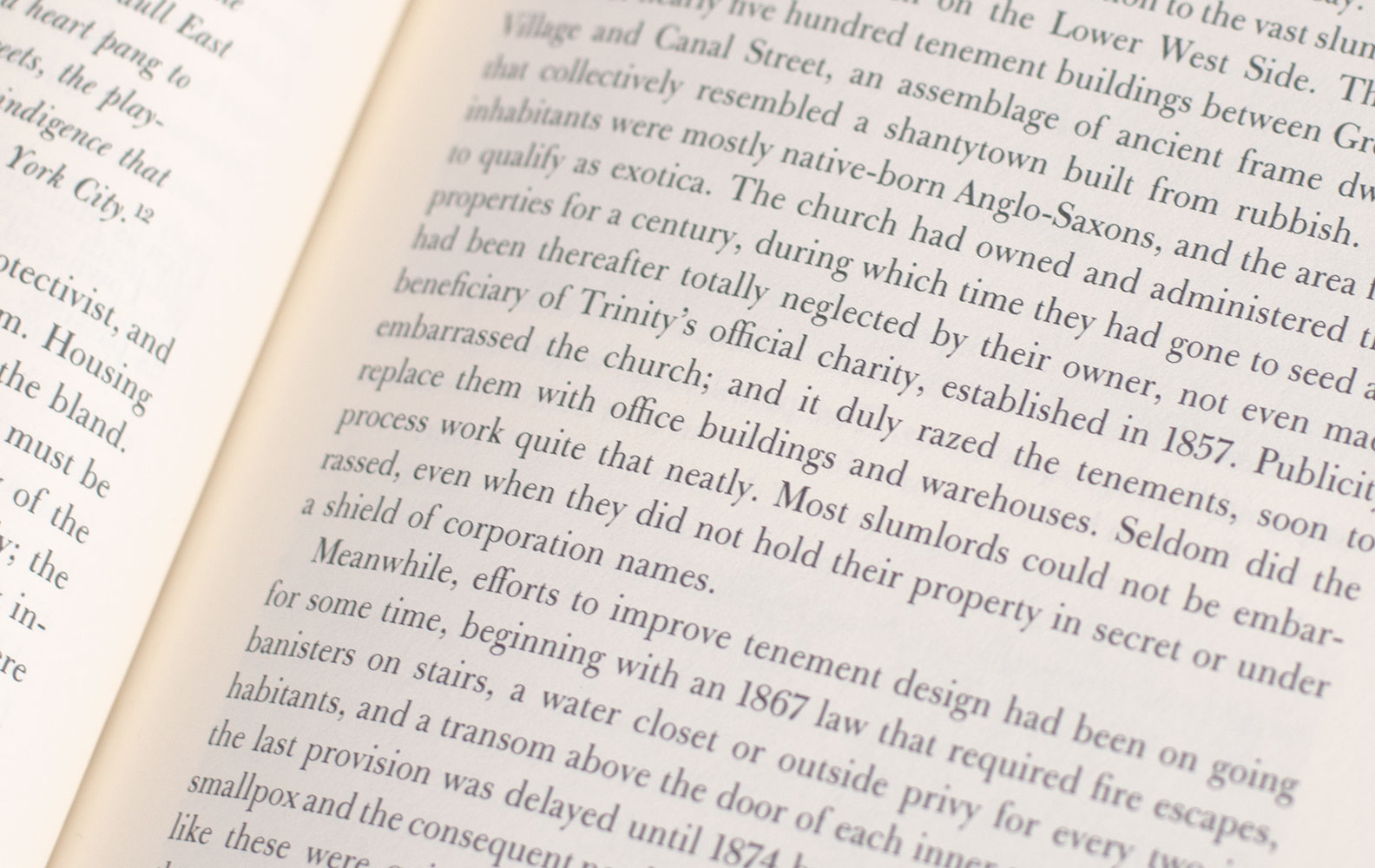 Low Life: Lures and Snares of Old New York.