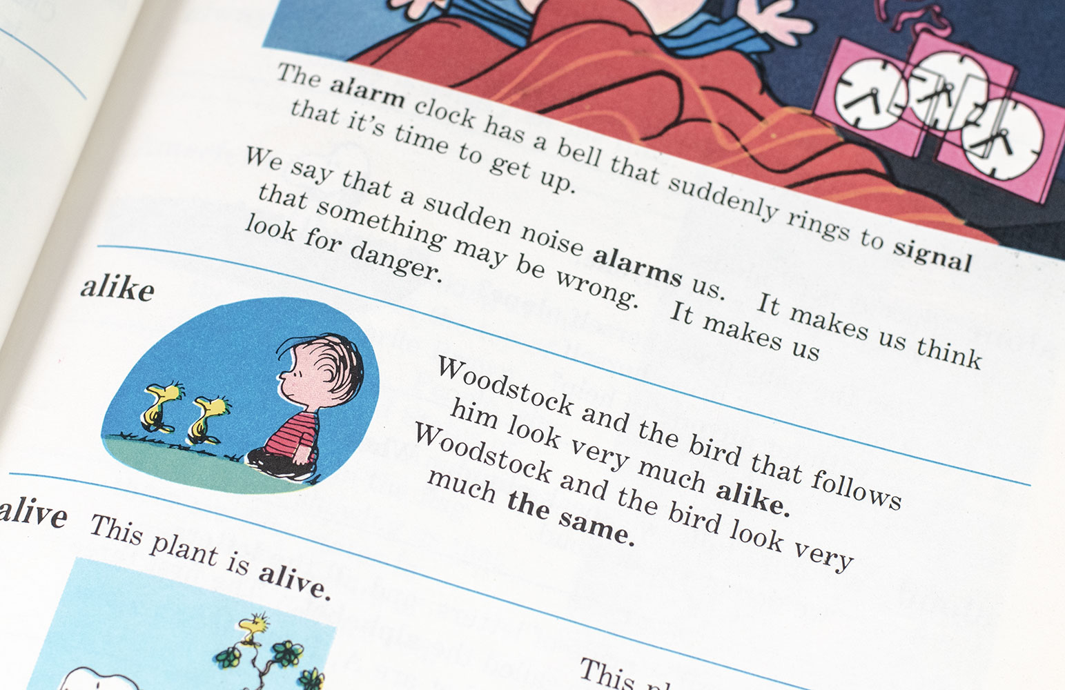 The Charlie Brown Dictionary.