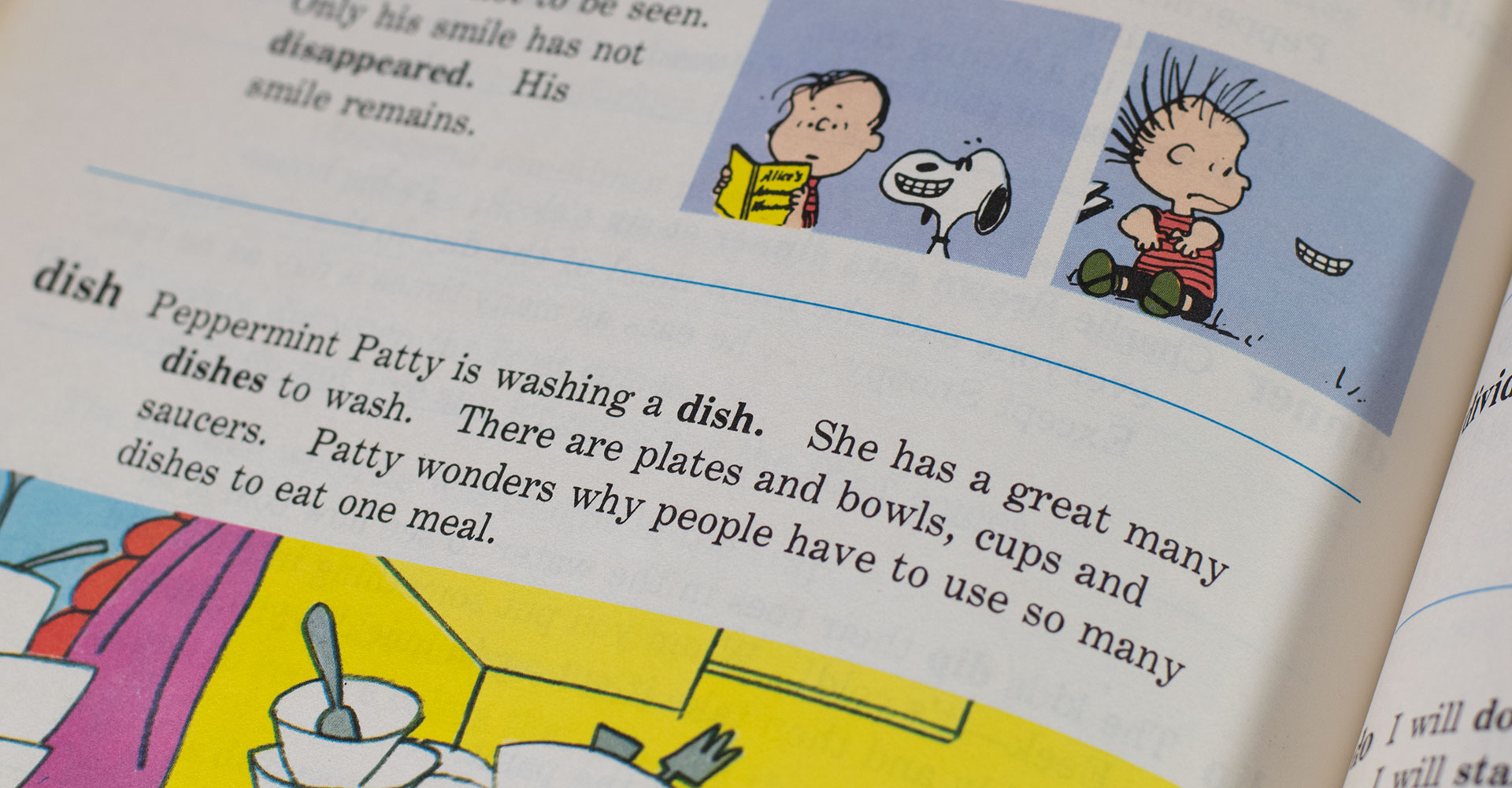 The Charlie Brown Dictionary.