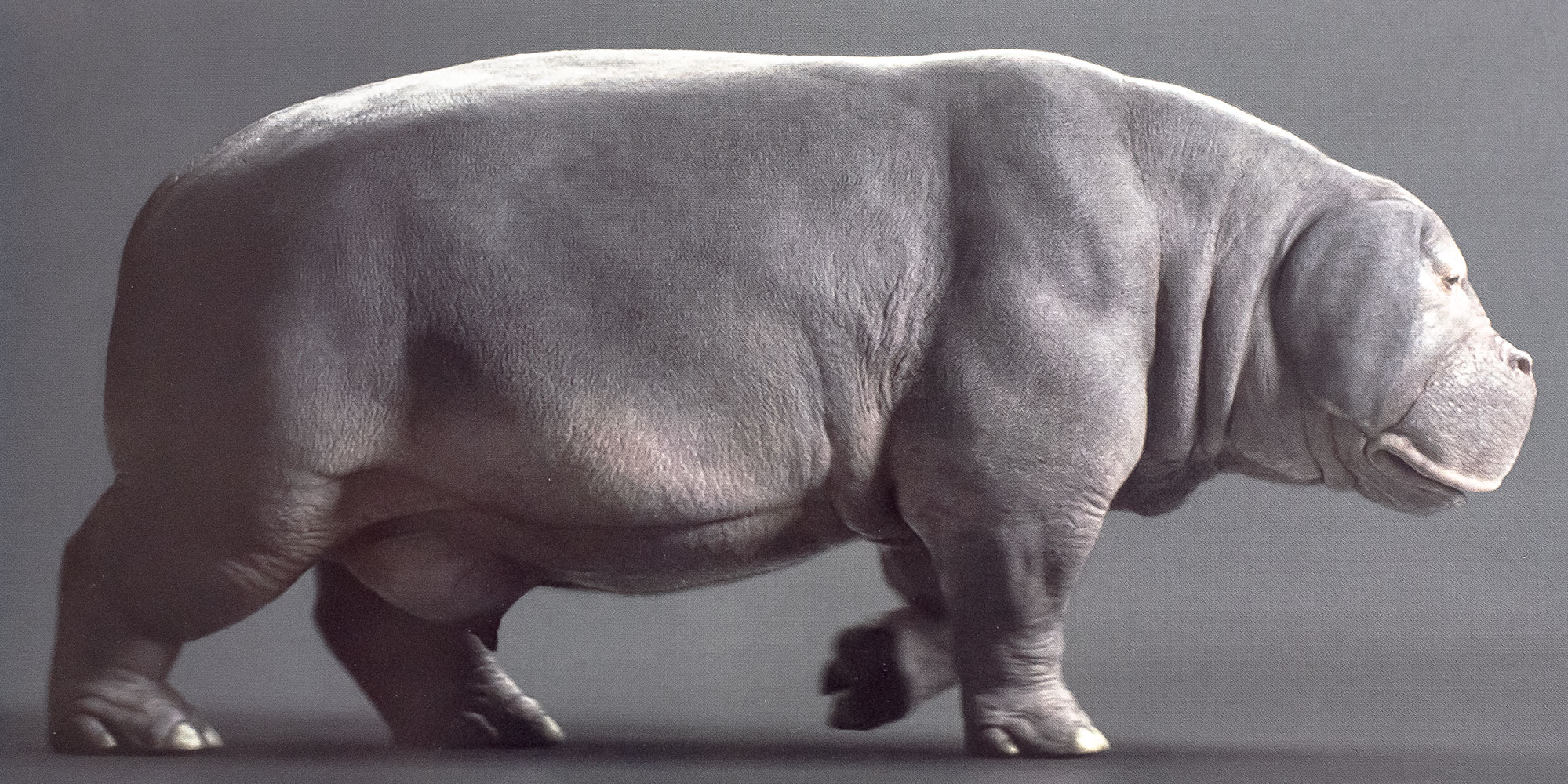 Okja: The Art and Making of the Film.