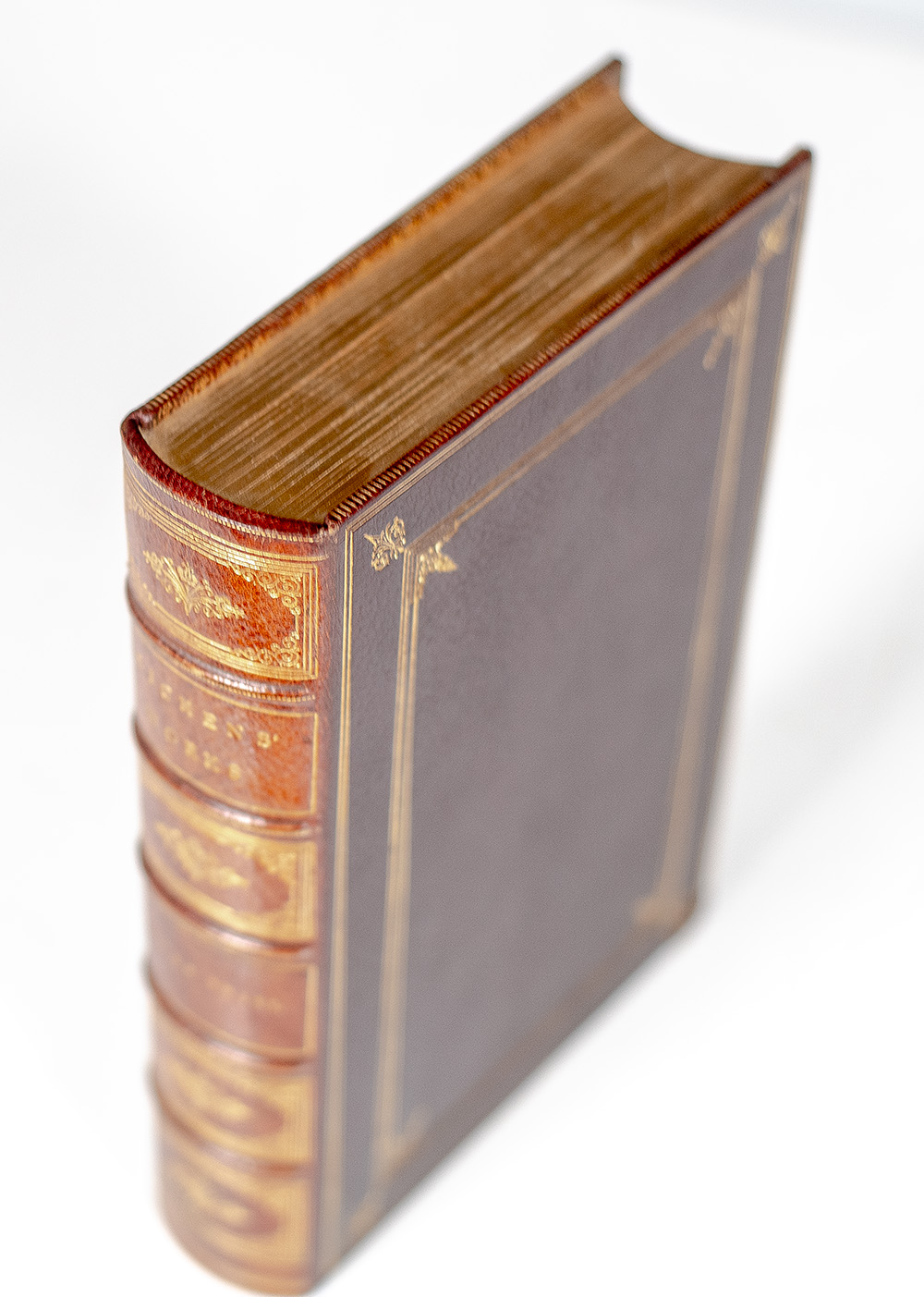 The Works of Charles Dickens and The Life of Charles Dickens.