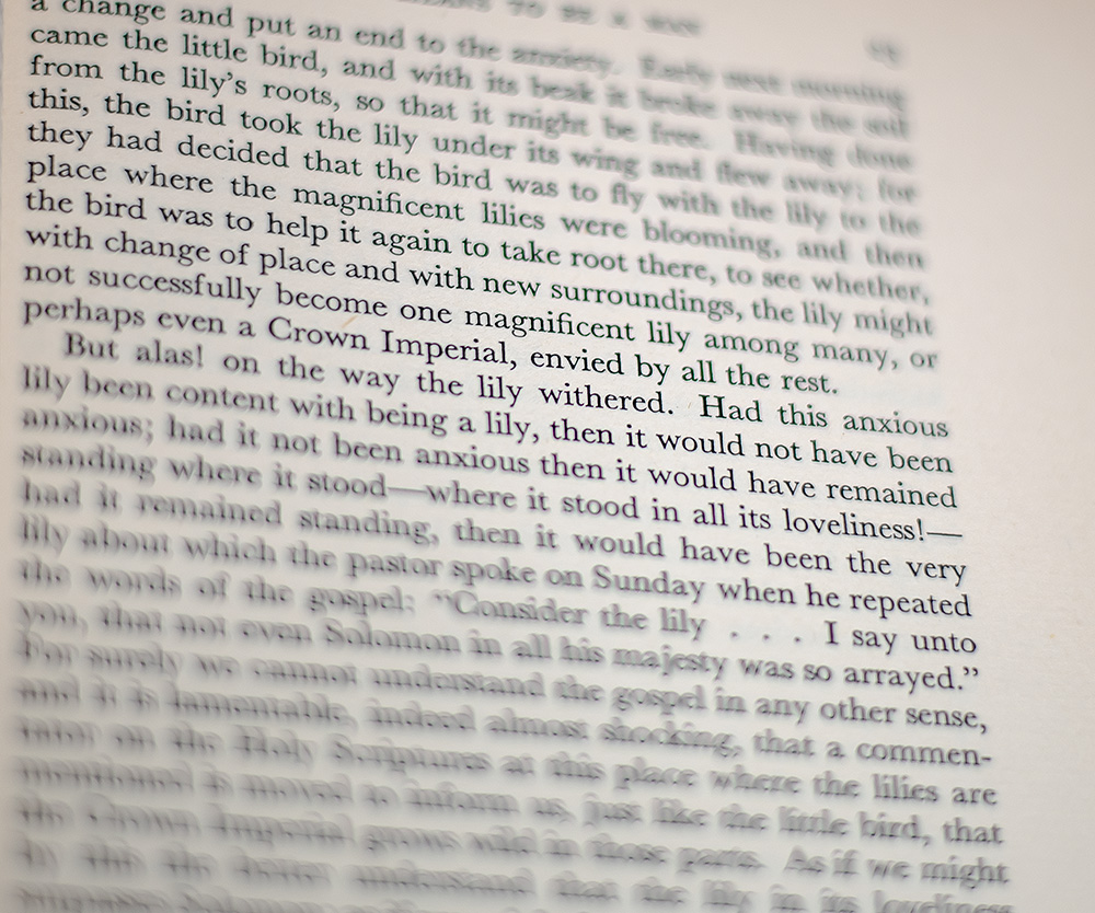 Consider The Lilies: Being the Second part of "Edifying Discourses in a Different Vein", published in 1847 at Copenhagen, by S. Kierkegaard.