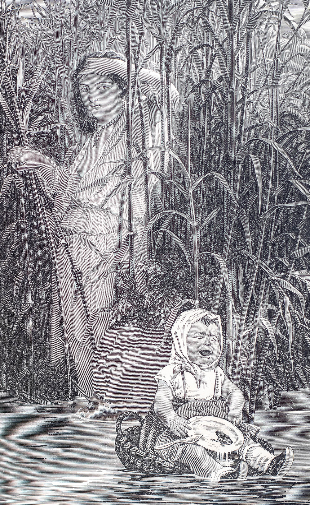 A Tramp Abroad.
