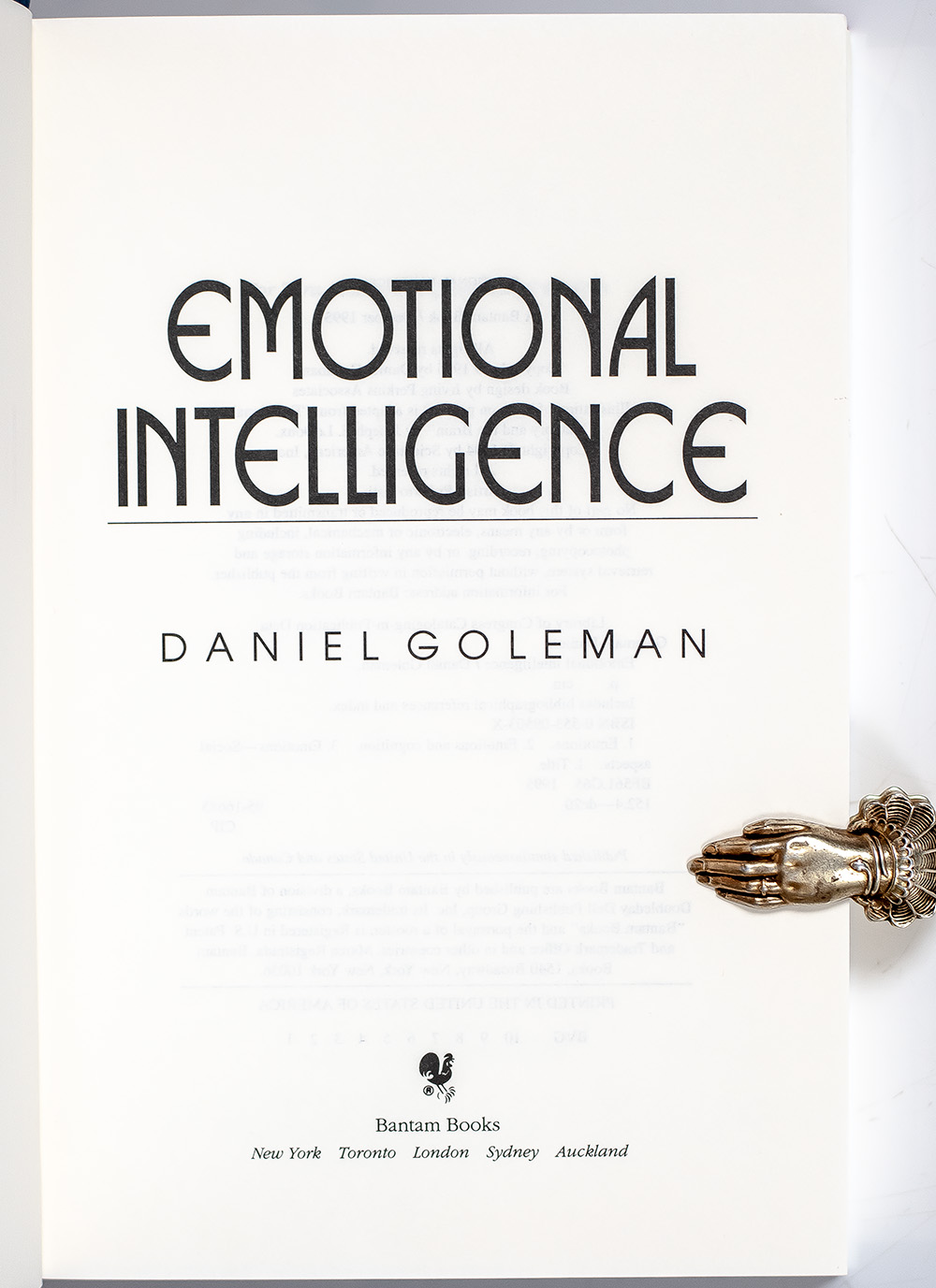 Emotional Intelligence: Why It Can Matter More Than IQ.