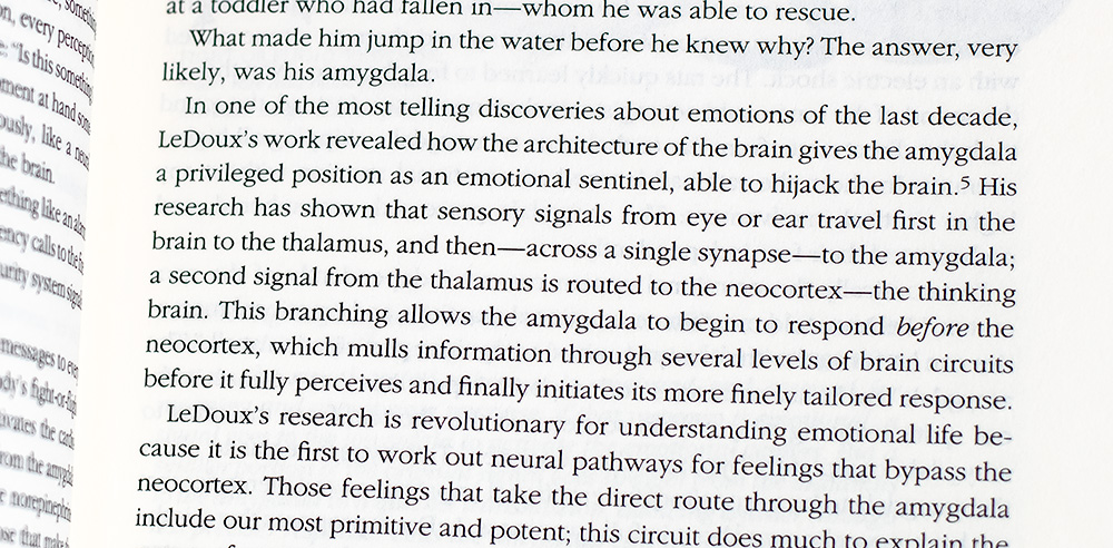 Emotional Intelligence: Why It Can Matter More Than IQ.