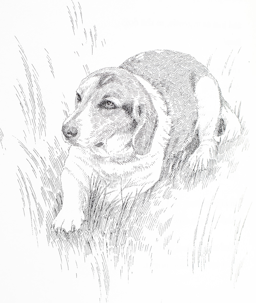 Dog Songs: Poems.