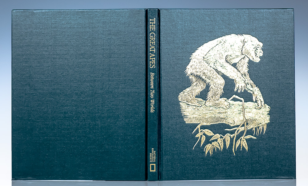 The Great Apes: Between Two Worlds.
