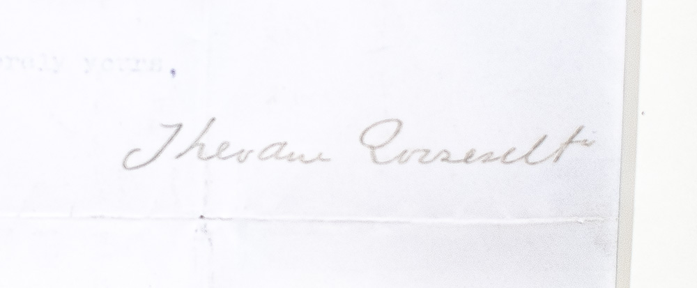Theodore Roosevelt Typed Letter Signed.