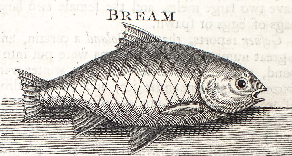 The Complete Angler or The Contemplative Man's Recreation: Being a Discourse on Rivers, Fish-Ponds, Fish, and Fishing.