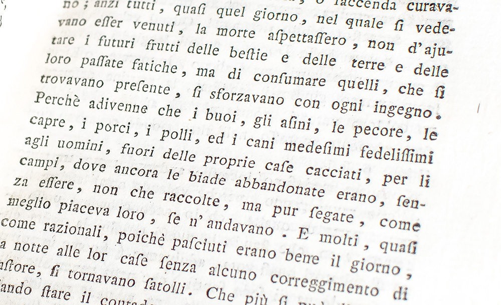 Del Decamerone.