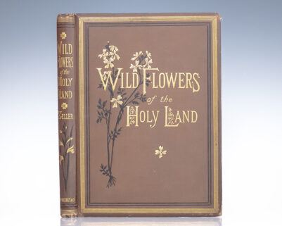 Wild Flowers of The Holy Land.