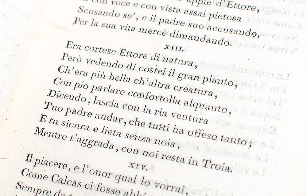 Il Filostrato, Poema.
